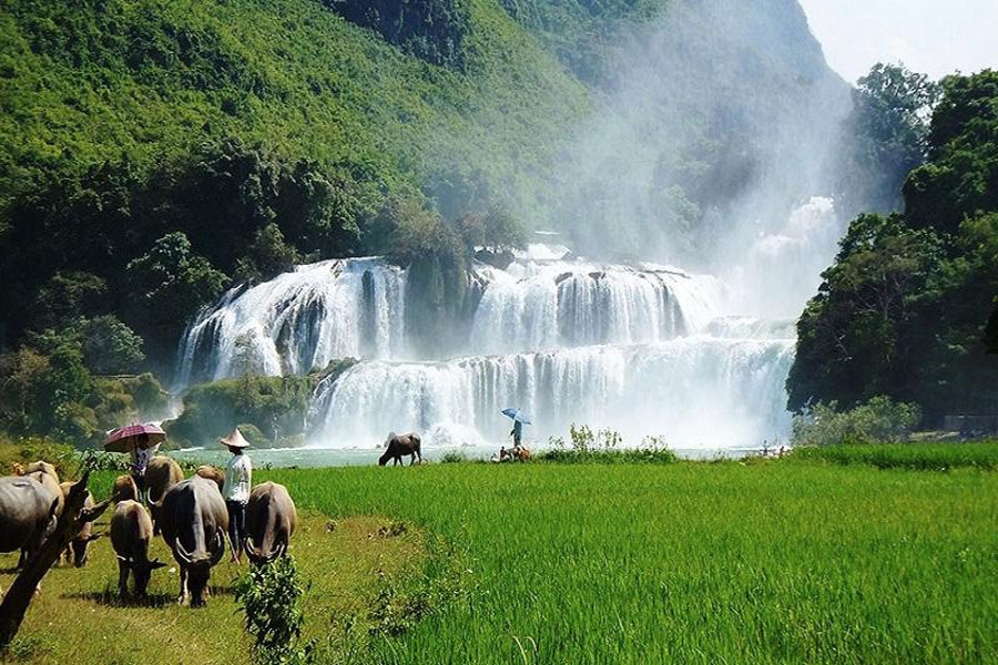 Ban Gioc Waterfall tour