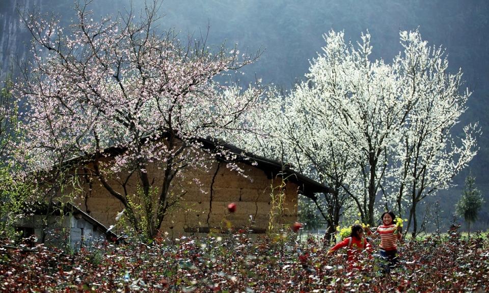 Ha Giang Tours