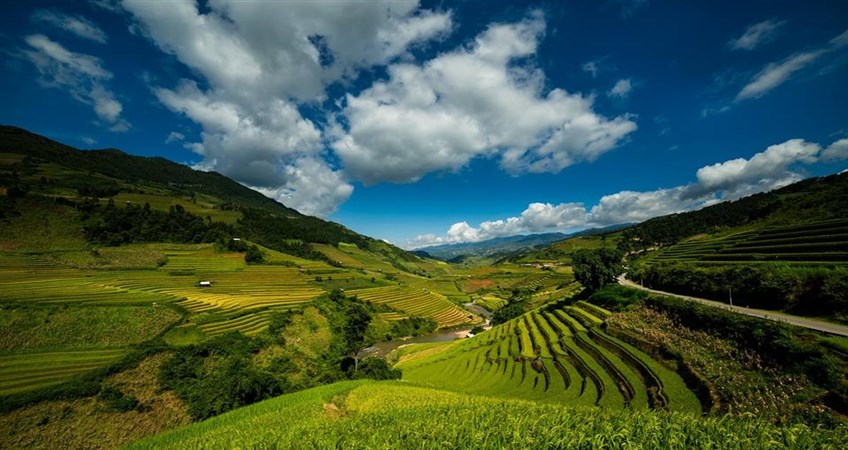 Mu Cang Chai Tours