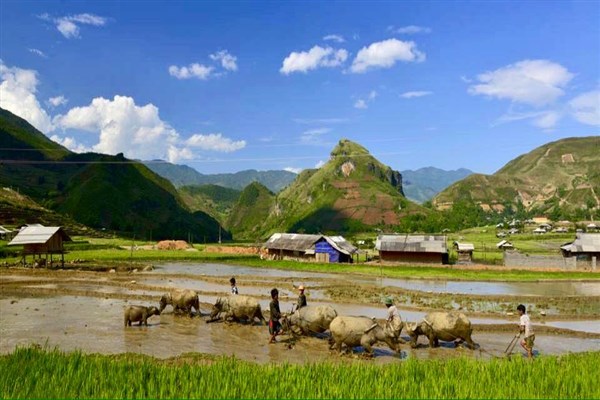 Mu Cang Chai Tours