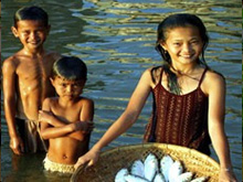 "Circus of fish" mekong