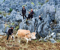 Farmer - Ha Giang