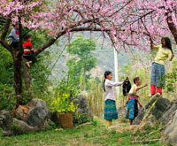 Life in Ha Giang