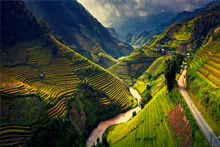 Mu Cang Chai