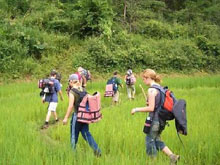 Trekking at Mai Chau