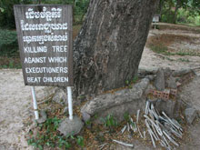 Killing Field Private Tour