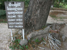 Killing Field Private Tour