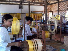 Silk Farm