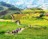 Sapa Trekking Tour - Sapa Tour